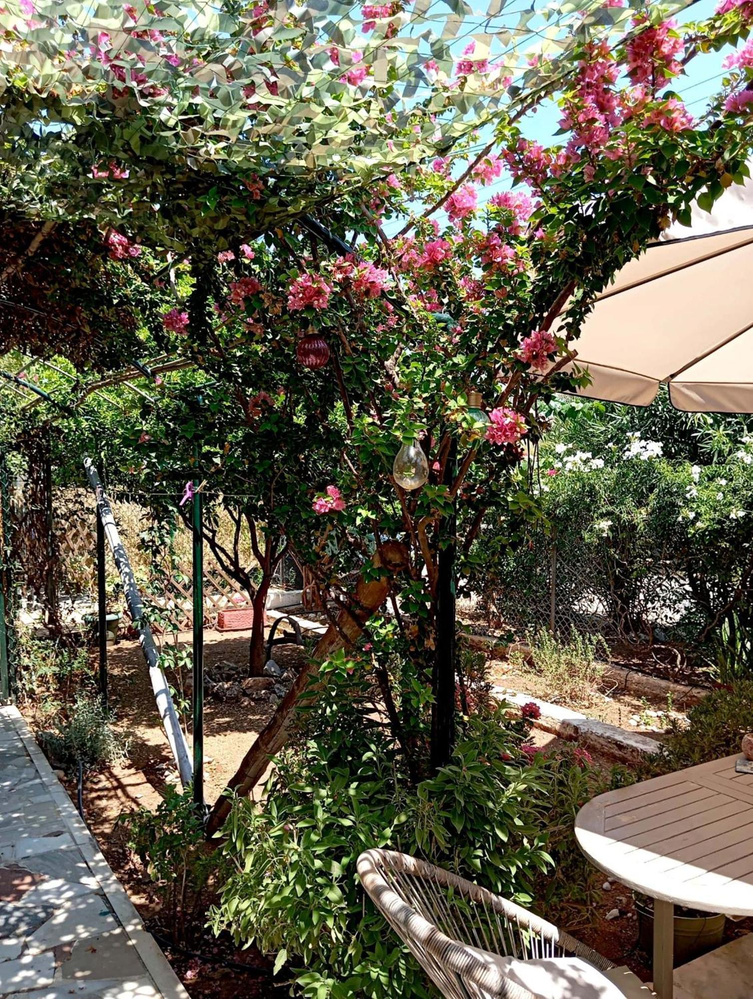 Villa Εξοχικό Roxani Ambelakia Esterno foto