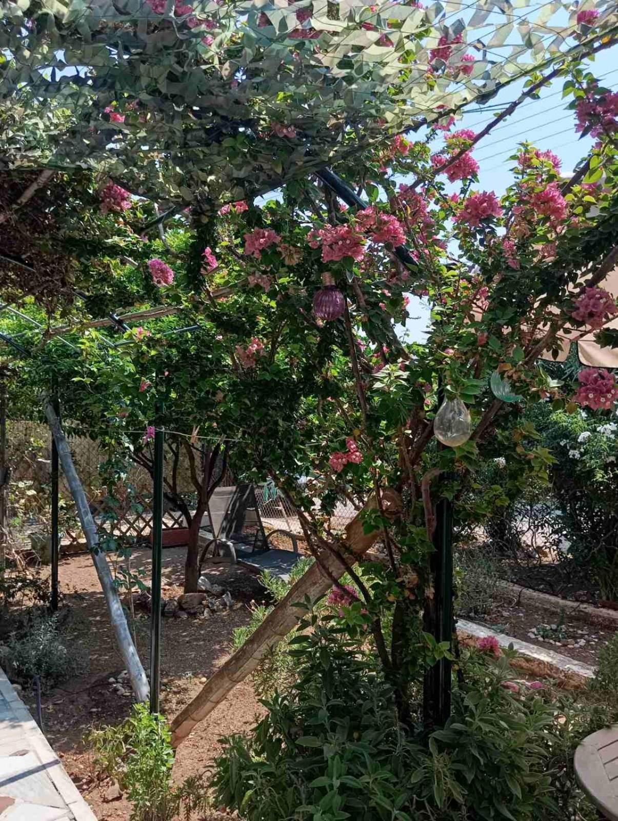 Villa Εξοχικό Roxani Ambelakia Esterno foto