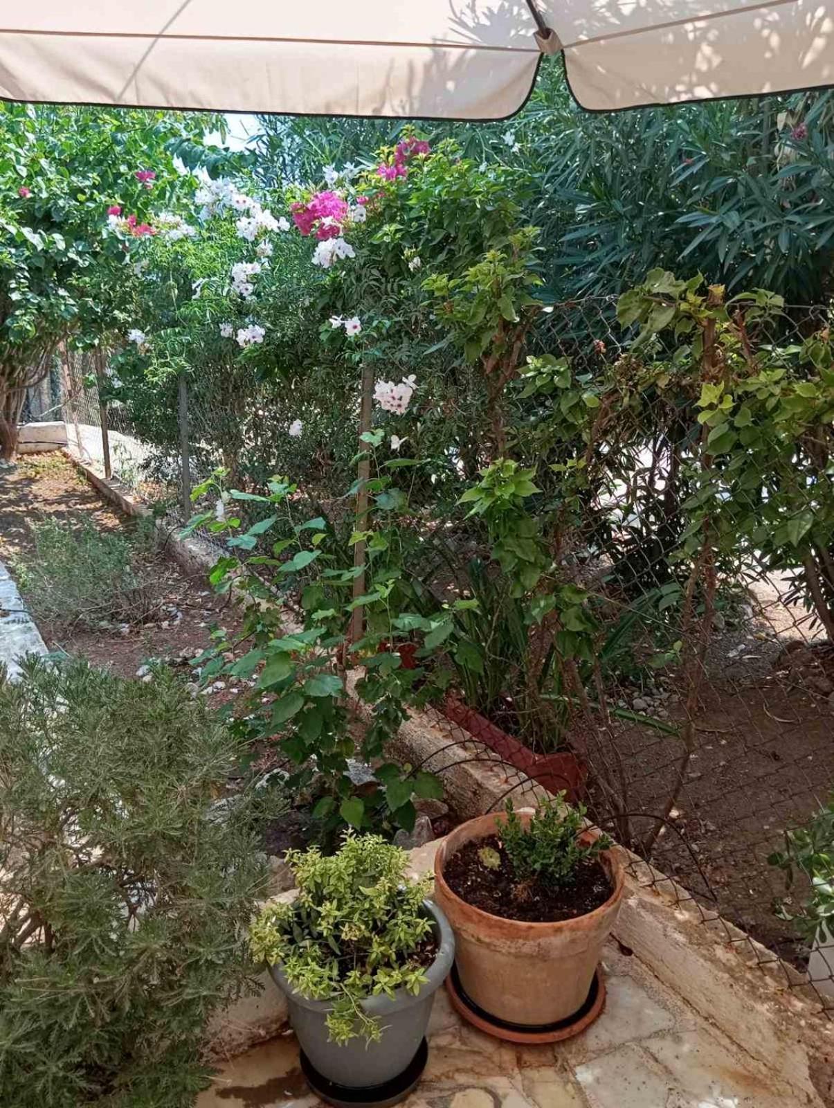 Villa Εξοχικό Roxani Ambelakia Esterno foto